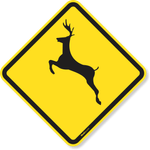 3773-placa-animais-selvagens-a-36-aluminio-acm-100x100cm-1