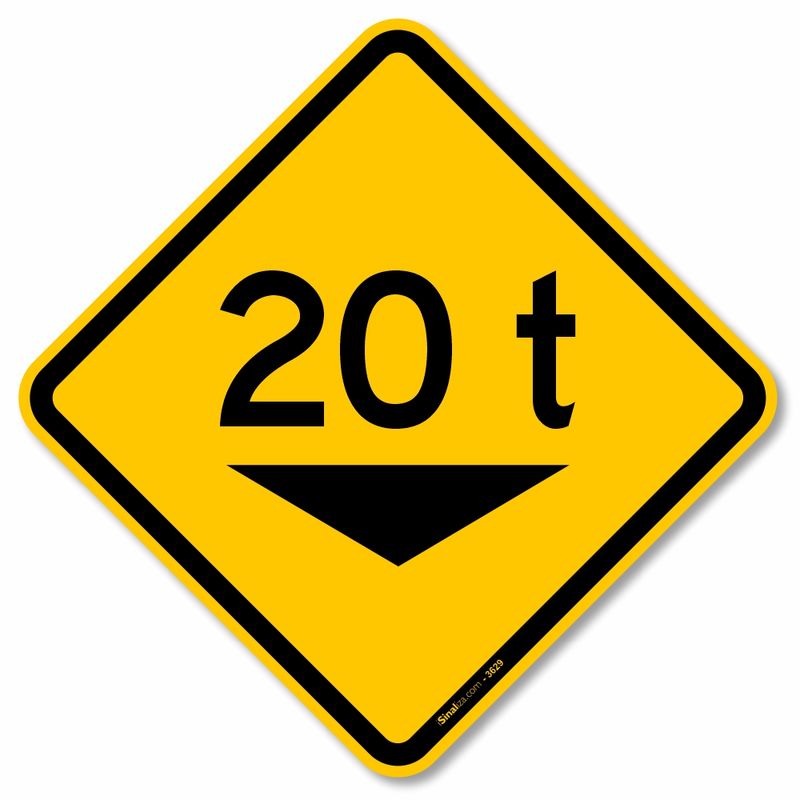 3629