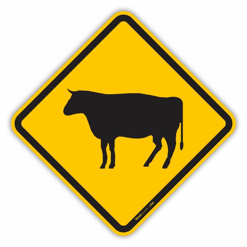 placa